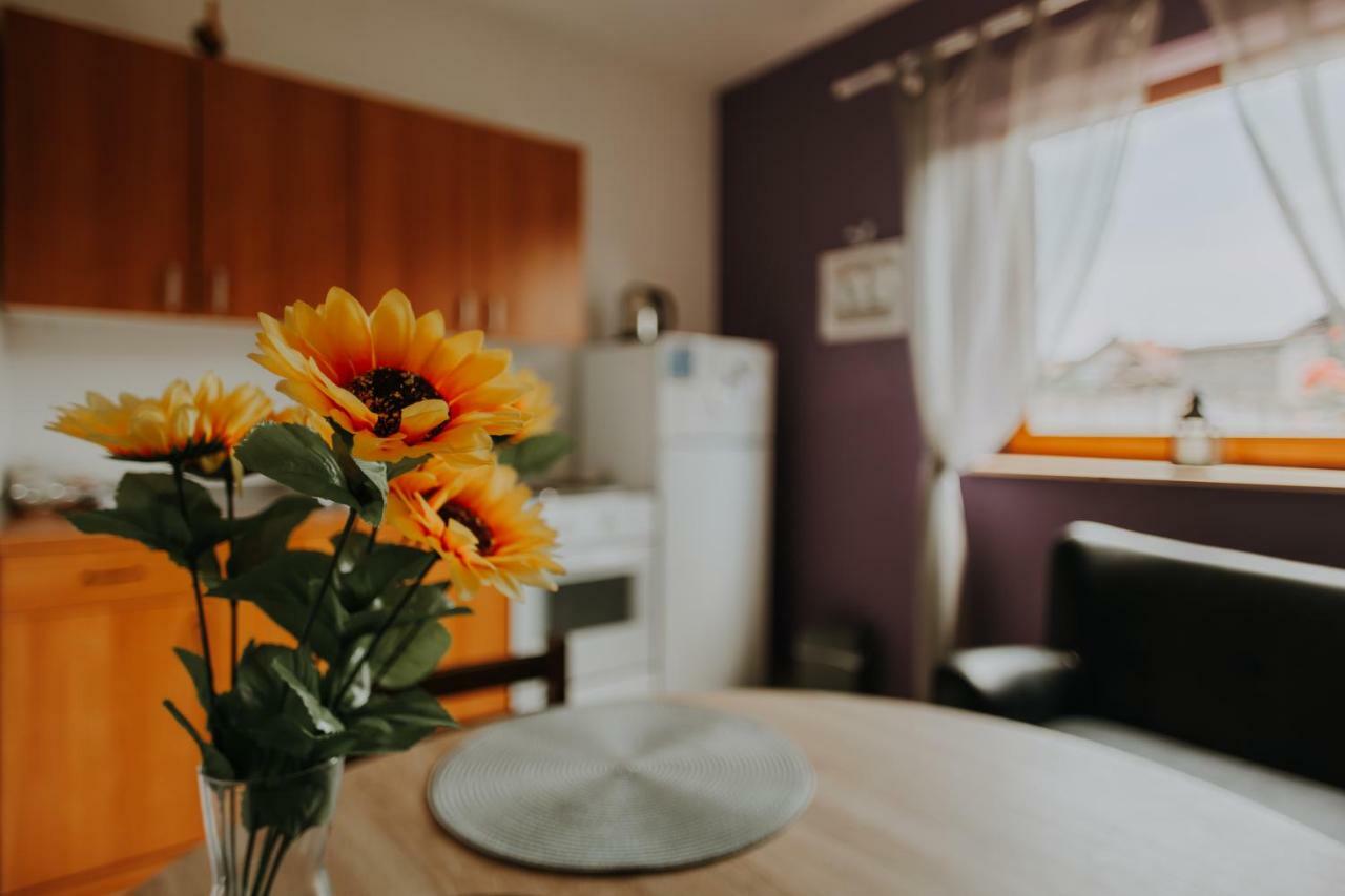 Apartmani Marin Vukovar Exterior foto