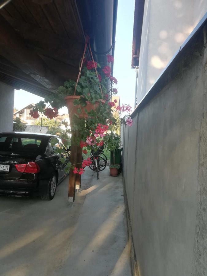 Apartmani Marin Vukovar Exterior foto